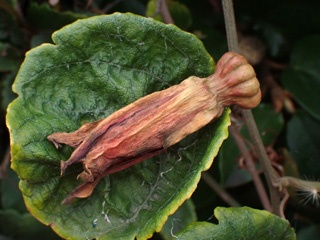PC223144a.jpg